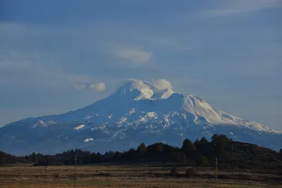 DSC_6008 (Large).JPG